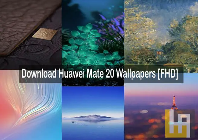 Download Huawei Mate 20 Live Wallpapers and Stock Wallpapers | EMUI   Wallpapers | Huawei Advices