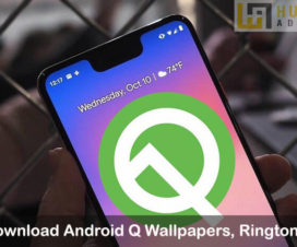Android Q wallpapers ringtones