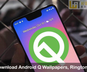 Android Q wallpapers ringtones